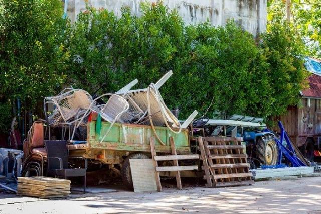 What Systems Main Role Is Waste Removal?
