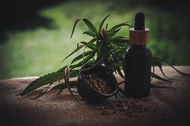 Finding Balance with Holistic Wellness Retreats in Dallas